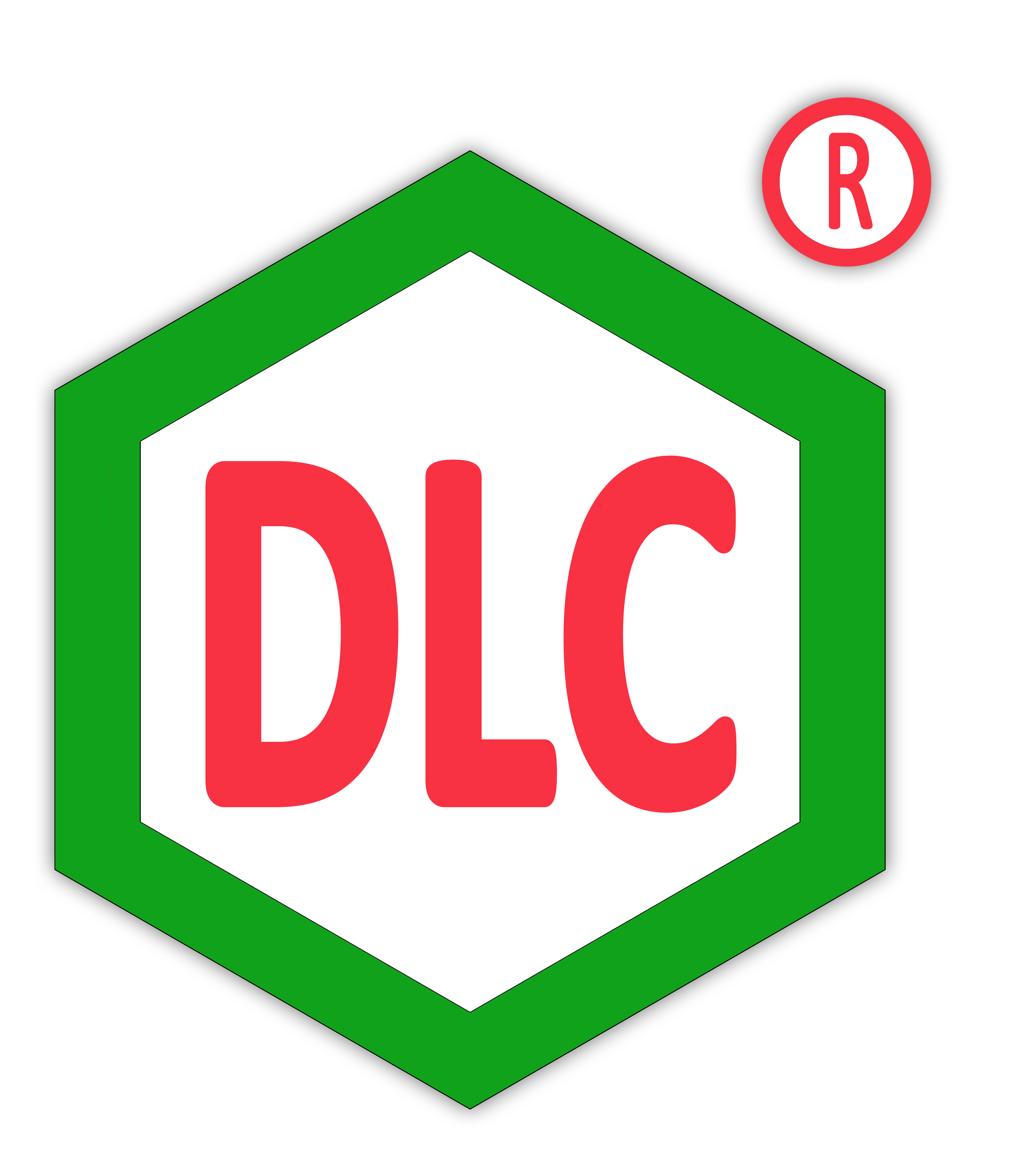 logo duc giang.png